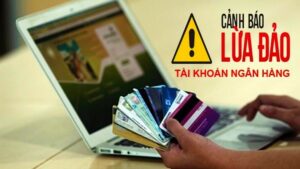 Phân tích tình hình lừa đảo tại Bình Định