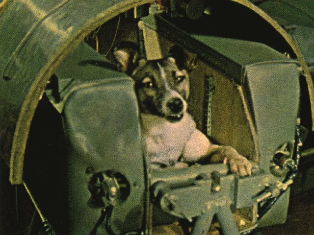 Hành trình của Sputnik 2